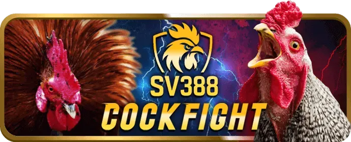 Hỗ trợ khách hàng ưu tiên VIP kkwin111